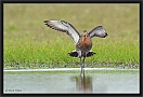 grutto DSC_0077-01